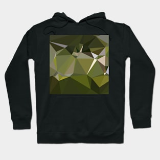 Hunter Green Abstract Low Polygon Background Hoodie